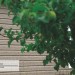 Сайдинг Ю-Пласт TIMBERBLOCK Пихта (Тимберблок) Cахалинская купить в Ново-Переделкино