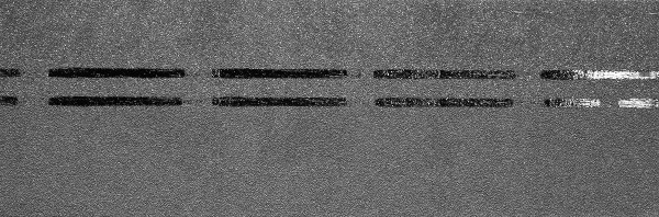 Коньково-карнизная черепица Docke Premium, черника купить в Ново-Переделкино